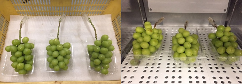 製品詳細｜製品一覧｜取扱製品｜株式会社 極東商会